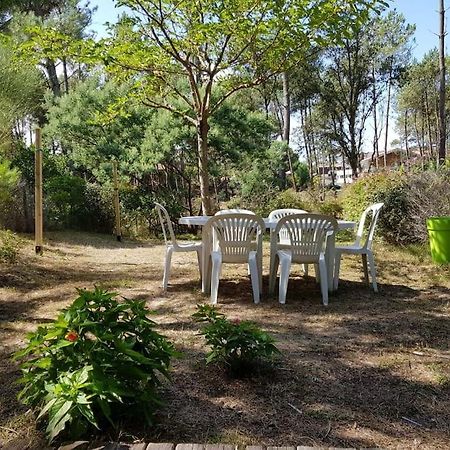 Maison A 300M De La Plage Villa Moliets-et-Maa Ngoại thất bức ảnh