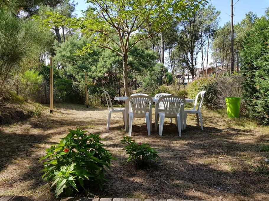 Maison A 300M De La Plage Villa Moliets-et-Maa Ngoại thất bức ảnh
